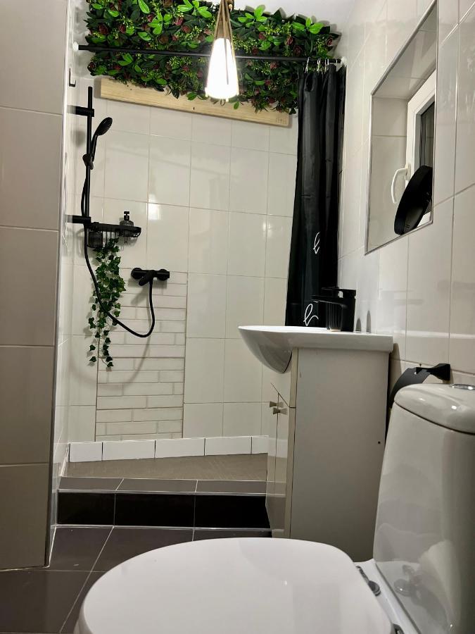 Nacada Studio By Hyco Apartamento Sighişoara Exterior foto